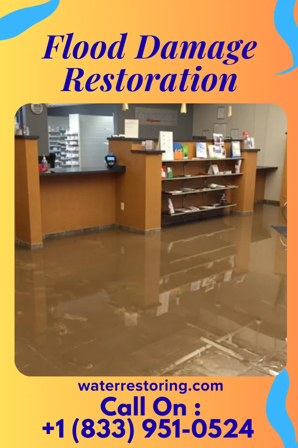 Flood Damage Restoration in Olympia Fields, IL