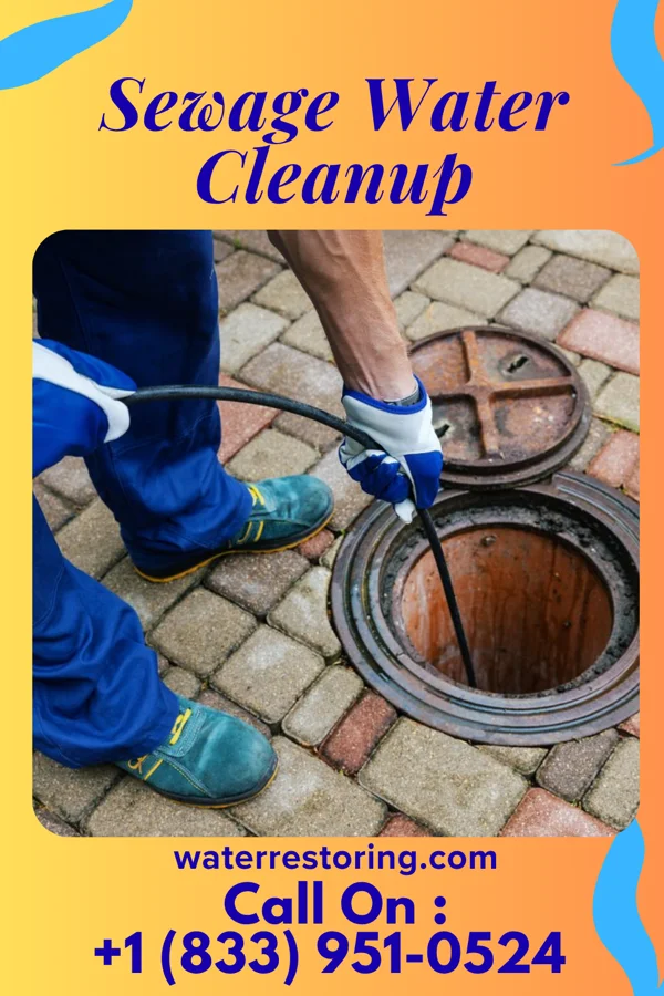Sewage Water Cleanup in Olympia Fields, IL