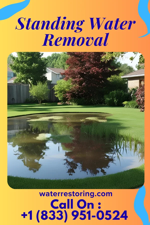 Standing Water Removal in Olympia Fields, IL